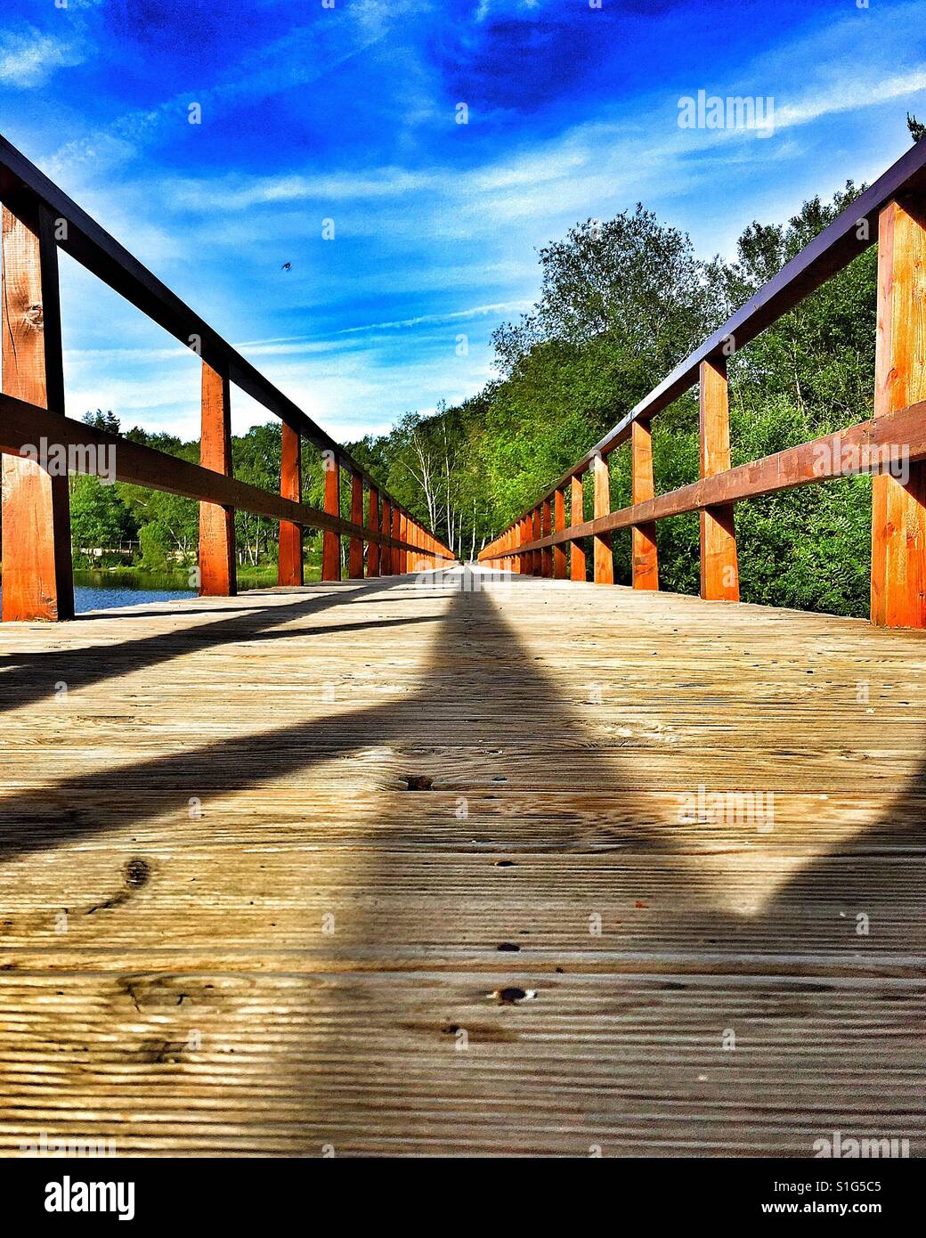 Lignes convergentes d'un pont piétonnier en bois dans un barrage réservoir, avec des arbres. Banque D'Images