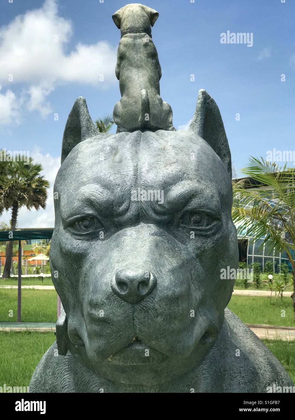 Pit-bull et ami. statue de chiens Banque D'Images