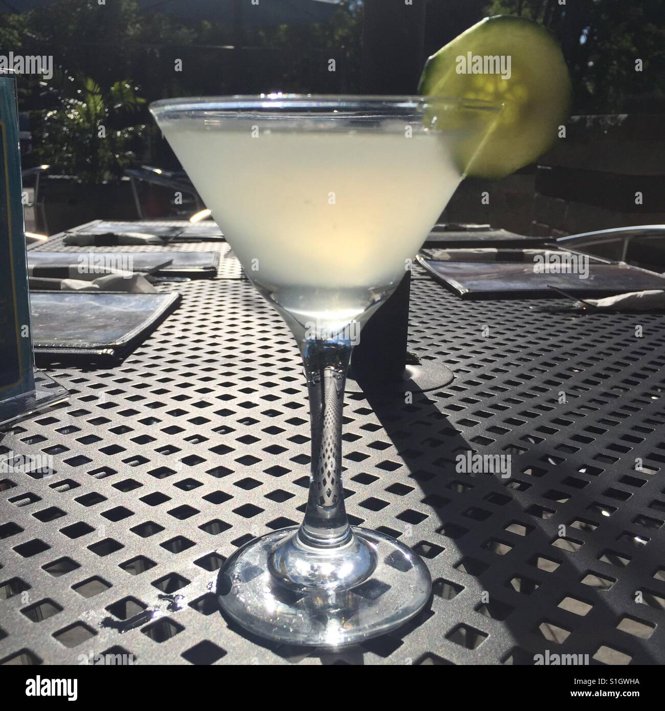 Concombre sur une martini réfrigéré table en métal à motifs sous un ciel ensoleillée. Banque D'Images