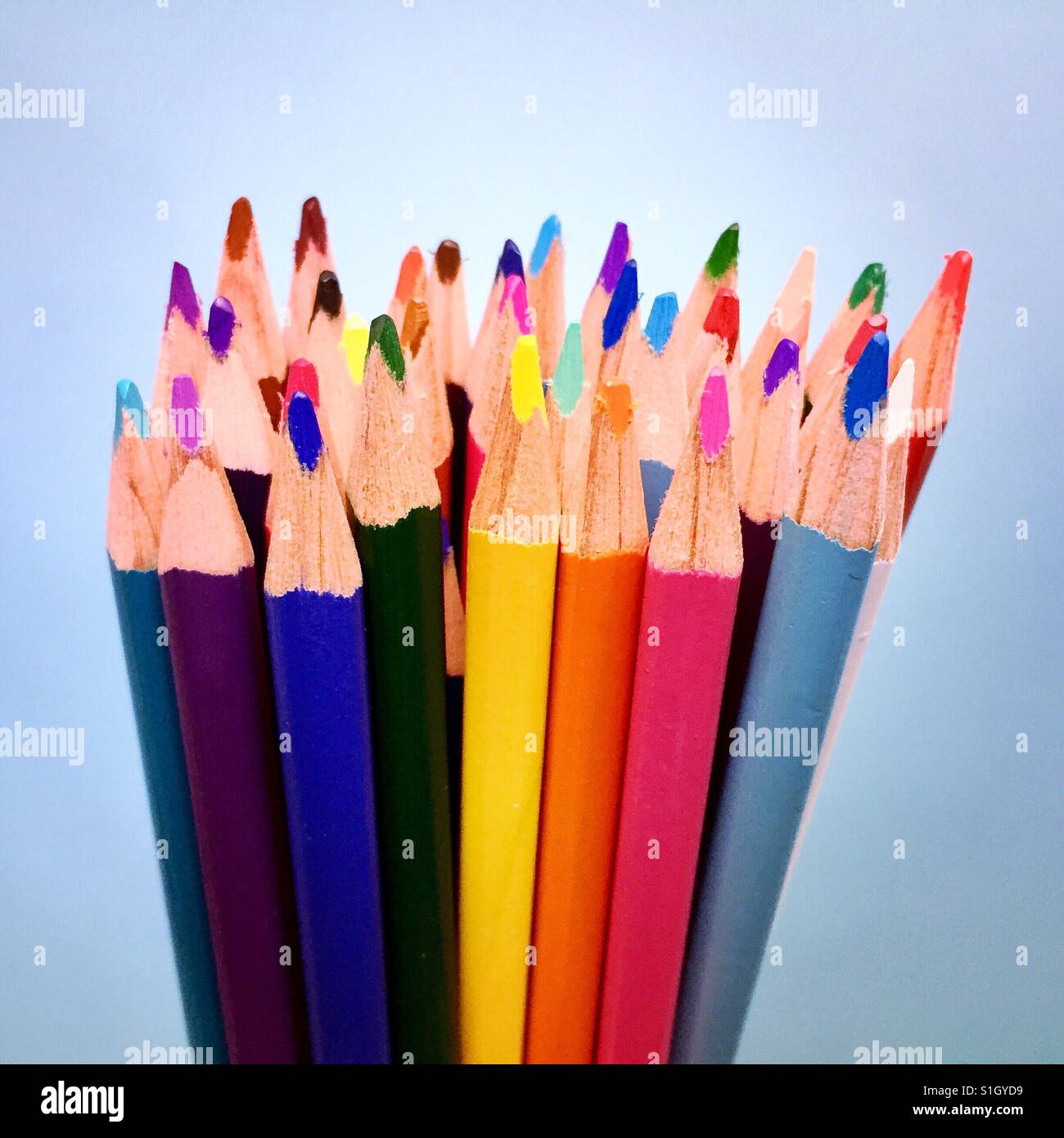 Un groupe de crayons affûtés colorés sur un fond bleu Banque D'Images