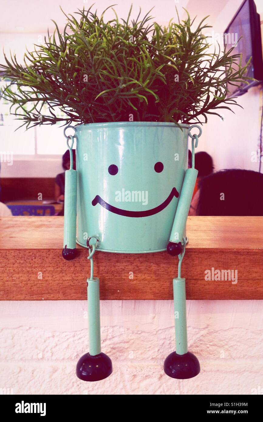 Plante en pot smiley face Banque D'Images