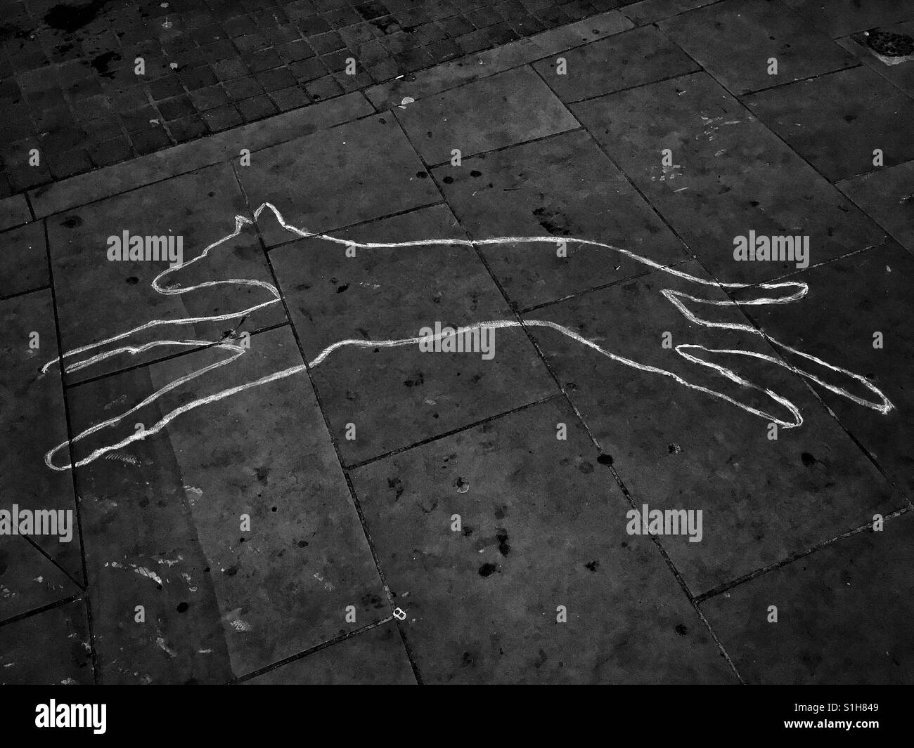 Les contours d'un chien en peinture blanche sur un trottoir annonce une production de Mark Haddon roman "Le bizarre incident du chien dans la pénombre" au théâtre de l'hippodrome de Bristol, Royaume-Uni Banque D'Images