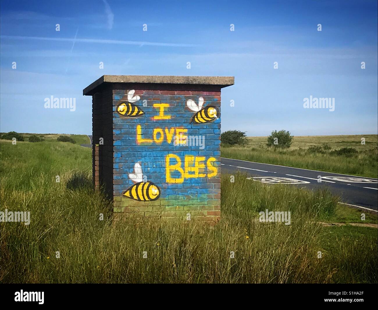 J'aime les abeilles graffitied abri bus dans la péninsule de Gower, près de Swansea. UK. - Image de stock capturée avec un smartphone