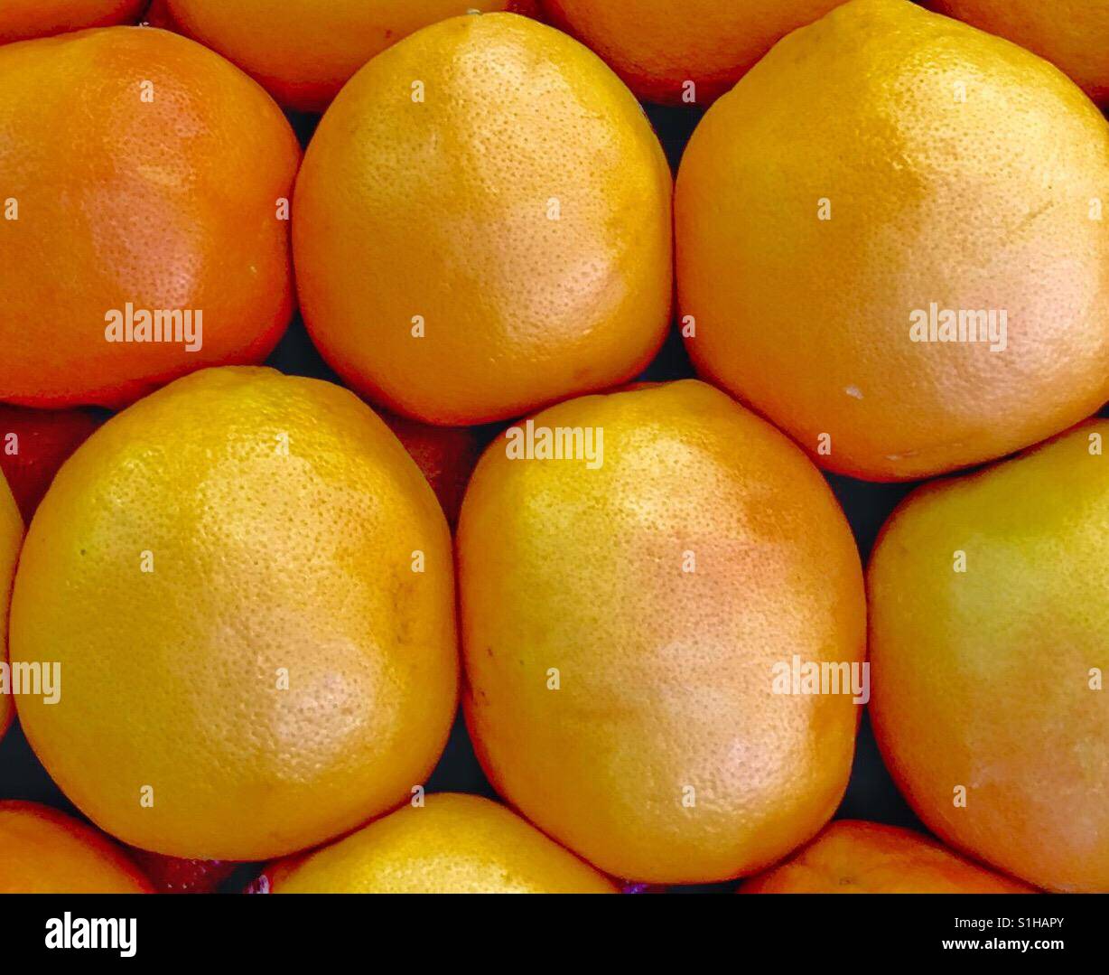 Pamplemousse gigantesque Banque de photographies et d’images à haute