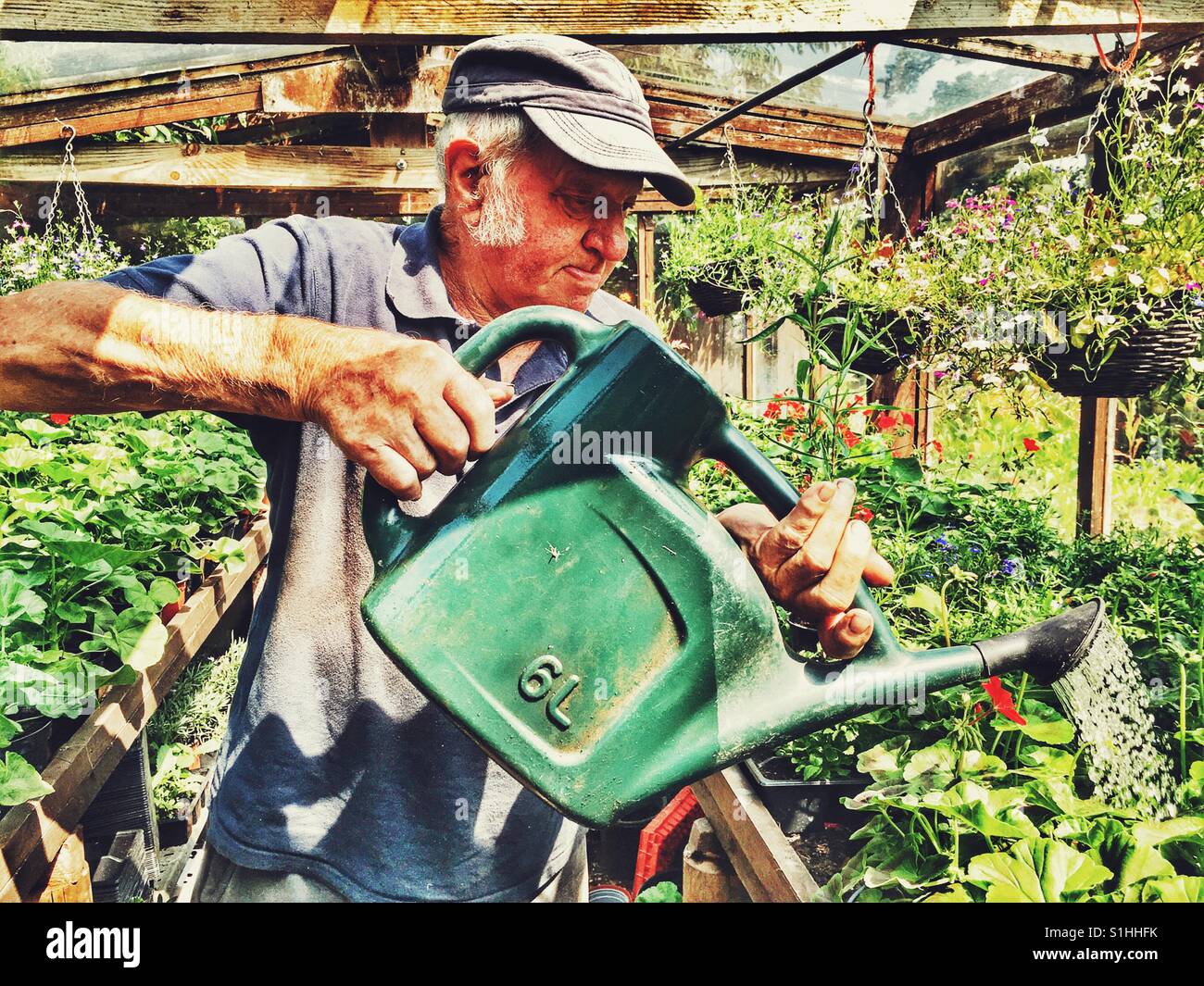 Pensionné qui est encore à 85 ans, Bawdsey, Suffolk, Angleterre. - Image de stock capturée avec un smartphone