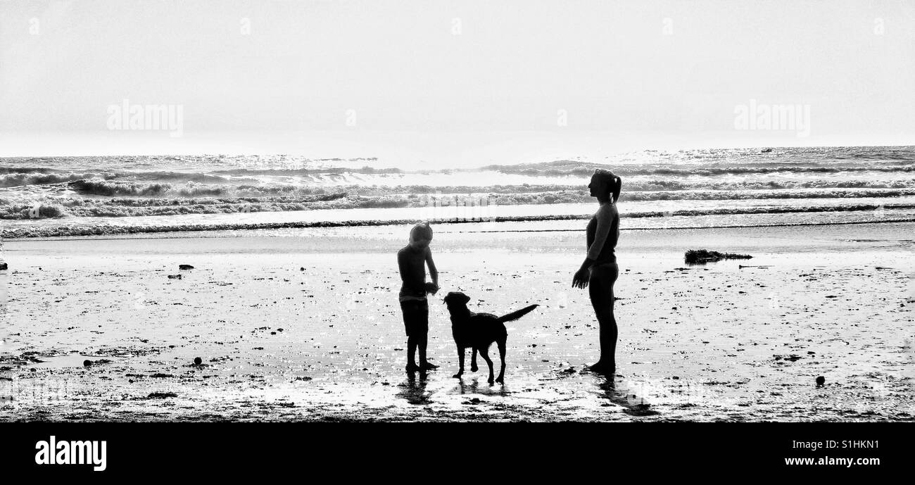 Photo de l'ombre, Dog beach, San Diego, Californie Banque D'Images
