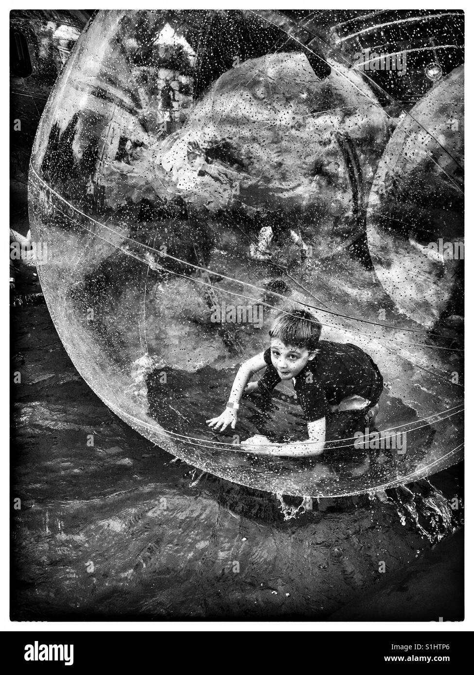 L'eau les gens à "zorbing" un festival de musique, Ipswich, Royaume-Uni. 26/06/17 Banque D'Images