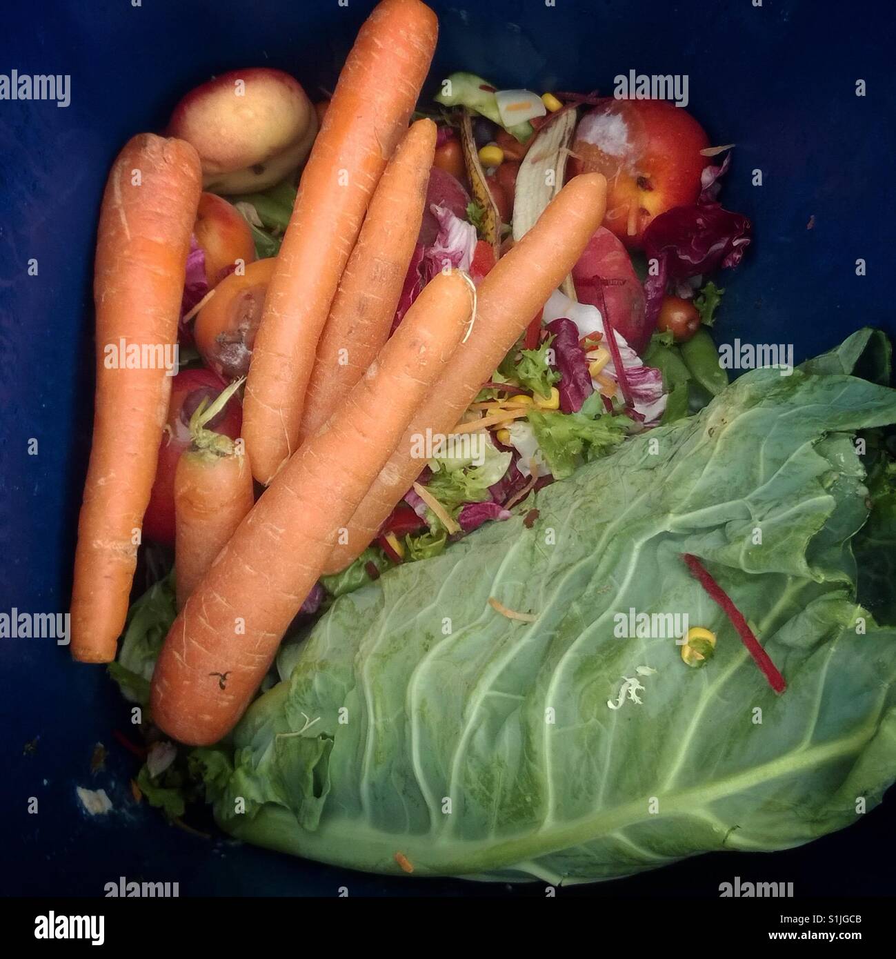 La nourriture gaspillée. Banque D'Images