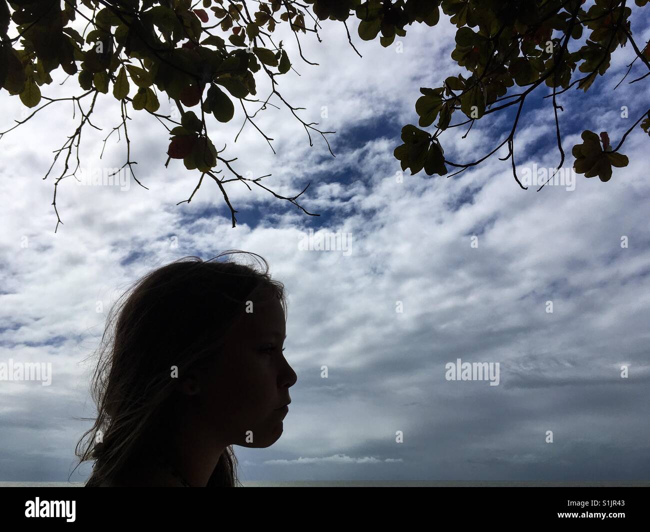 Silhouette d'un pré-ado fille . Banque D'Images