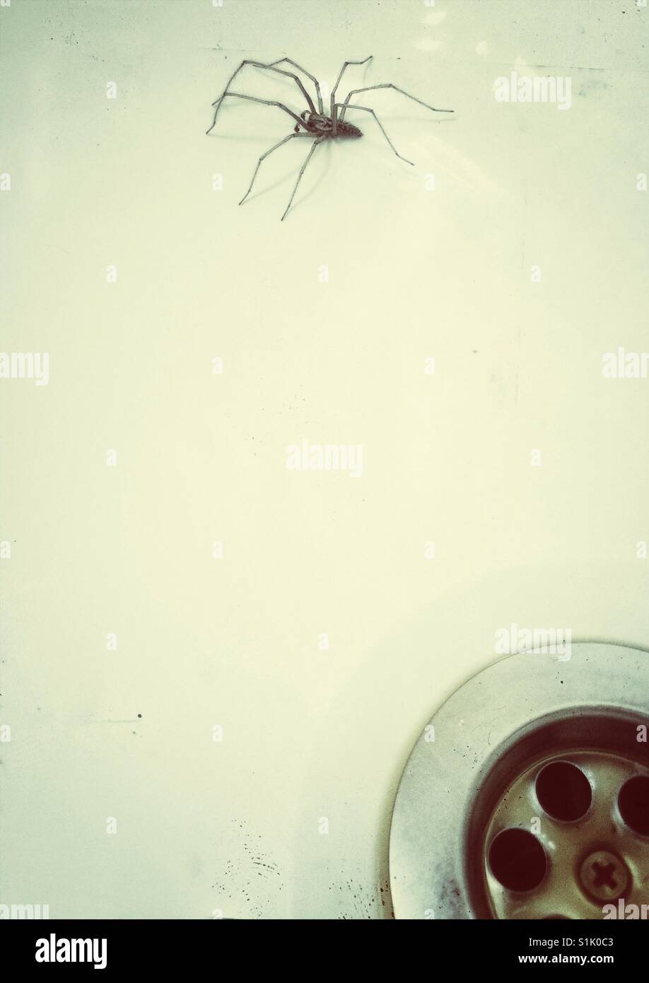 Tripode dans la baignoire près de boucher le trou Photo Stock - Alamy