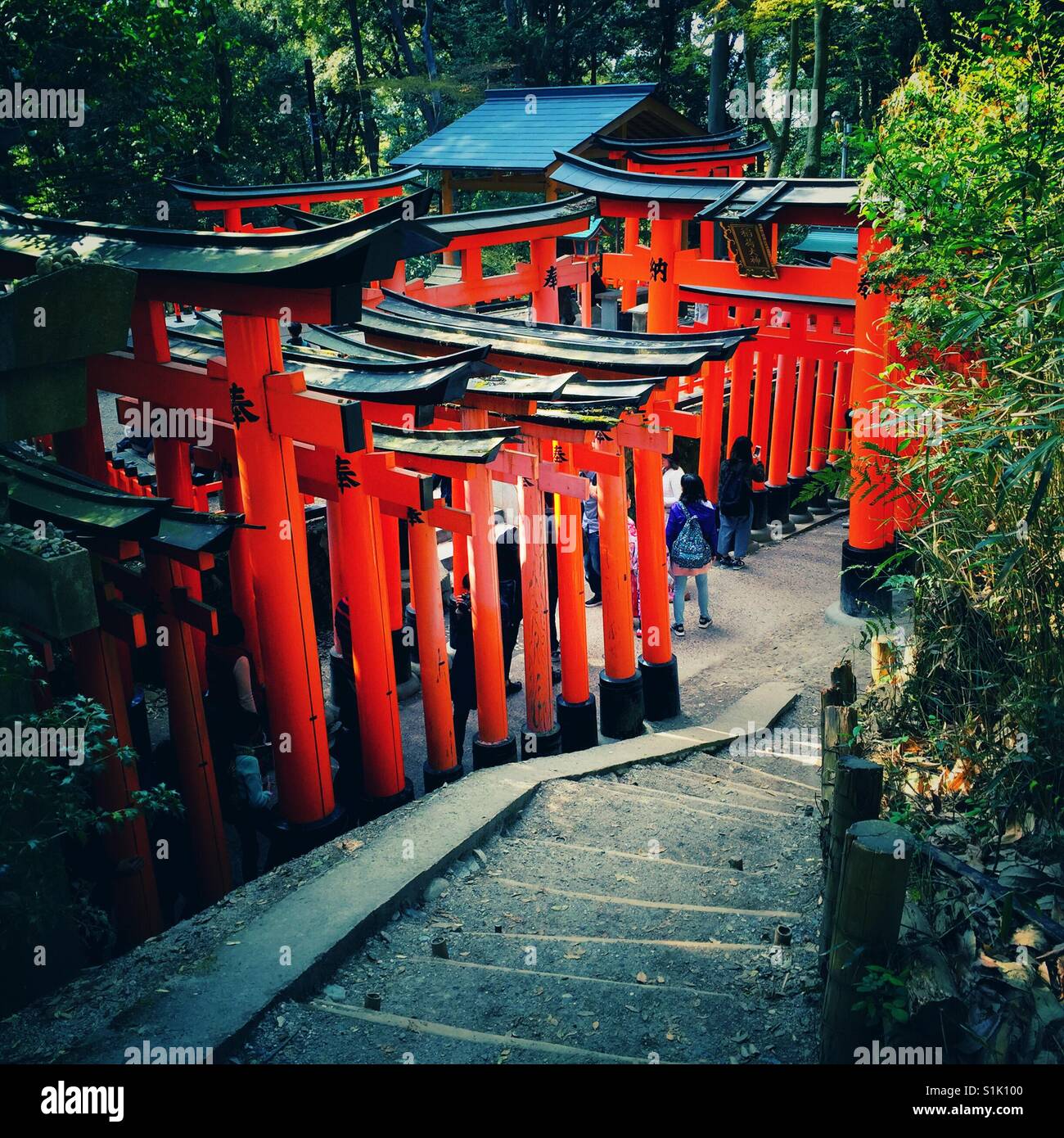 Vermilion célèbre torii gates de Fushimi Inari à Kyoto Banque D'Images