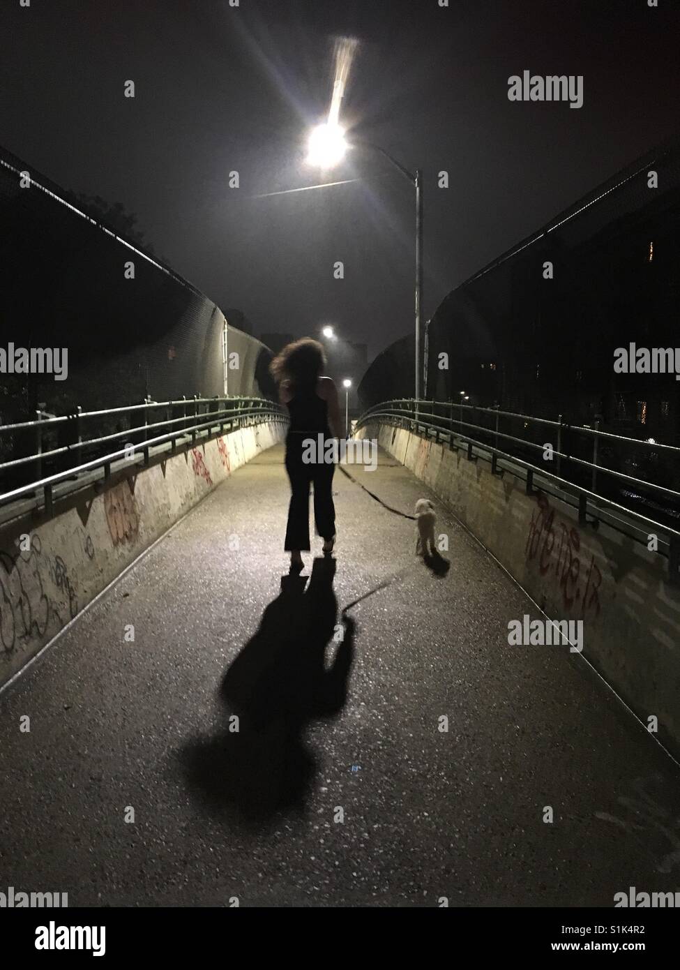 Petit compagnon femme & la marche dans la nuit. - Image de stock capturée avec un smartphone