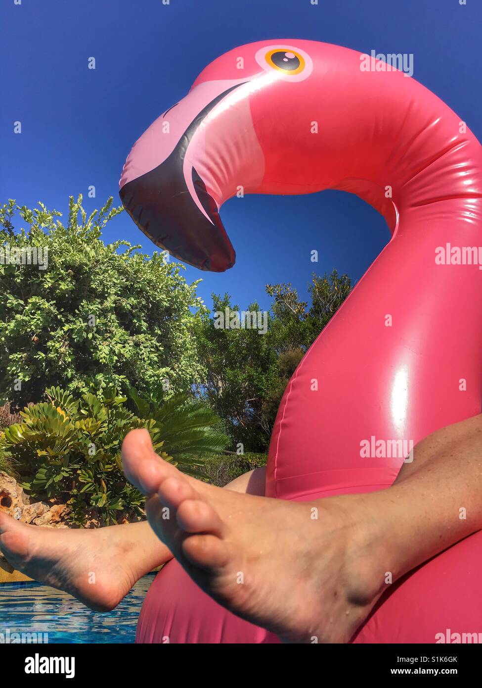 Relations sérieuses in de l'été. Pieds et pink flamingo dans piscine gonflable Banque D'Images