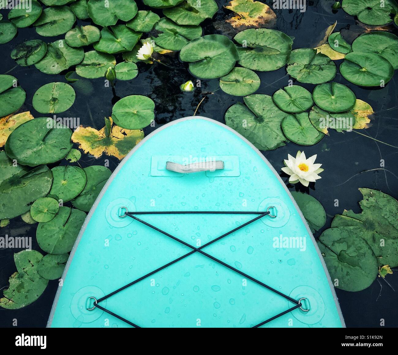 Paddle board en étang Banque D'Images