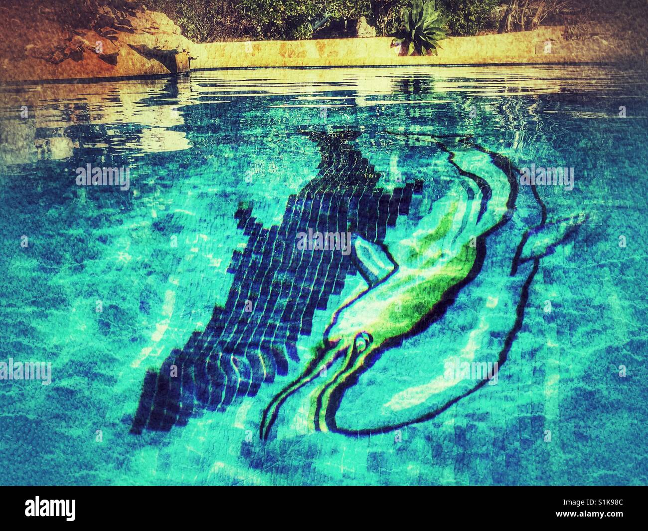 Dauphin en mosaïque piscine carrelée Banque D'Images