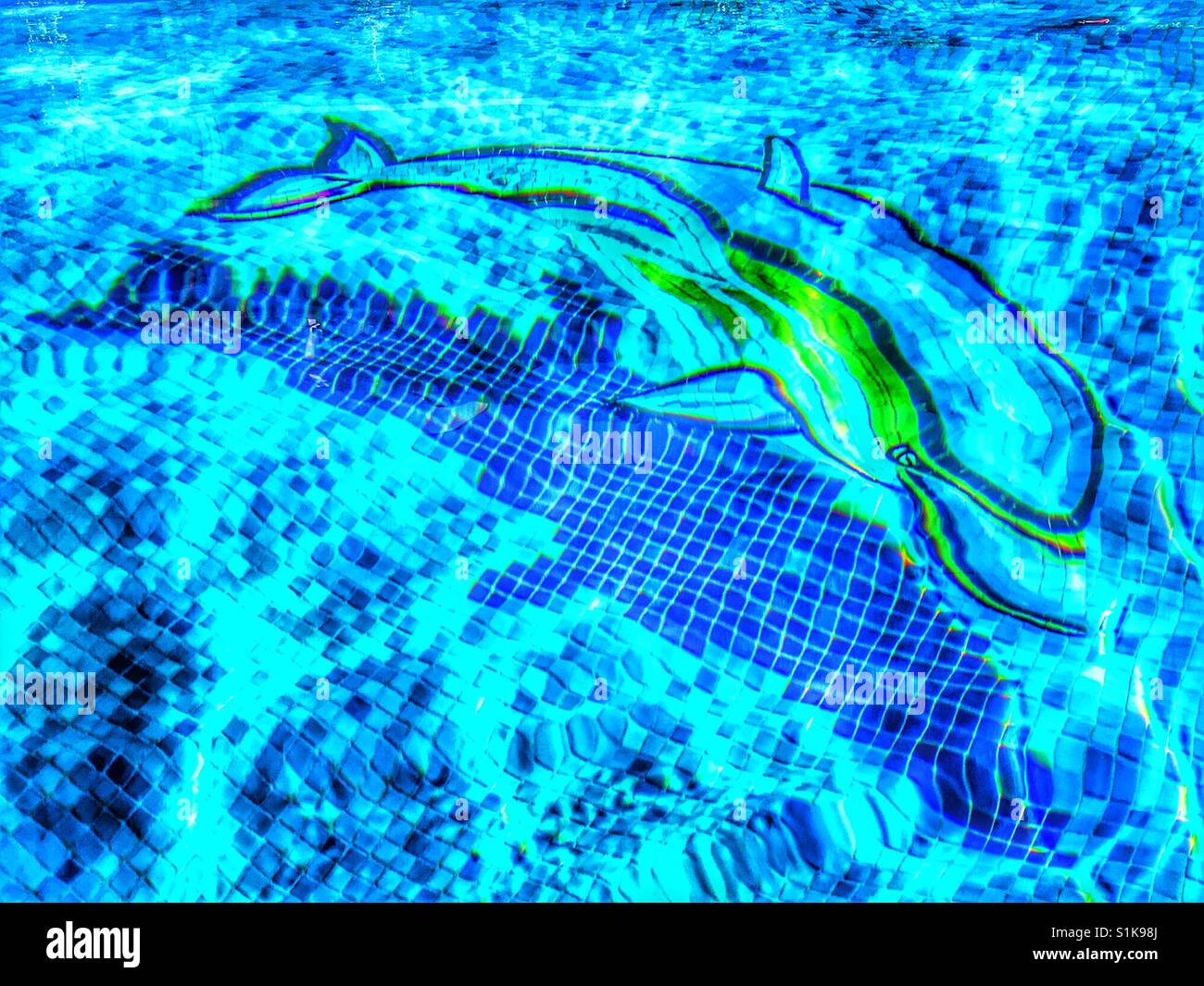 Dolphin mosaïque dans une piscine Banque D'Images