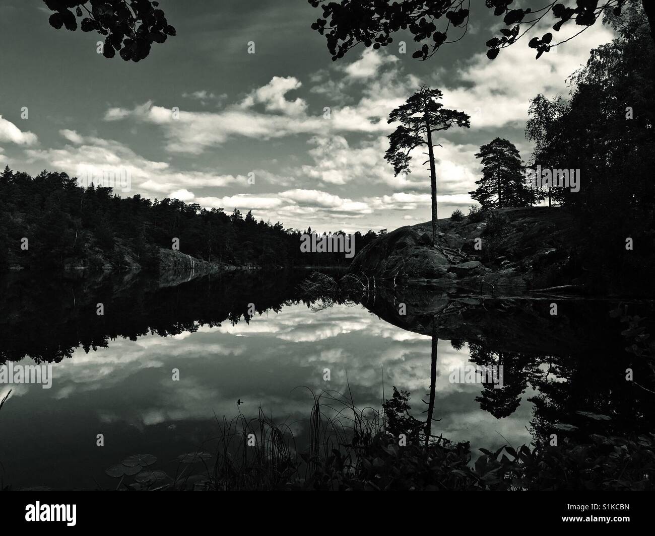 Lac suédois avec miroir encore-comme la surface Banque D'Images