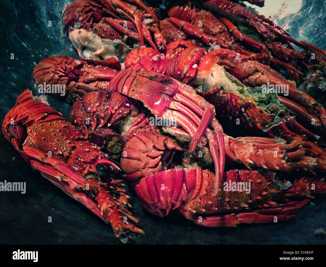 Gros homards cuits rouge lumineux Banque D'Images