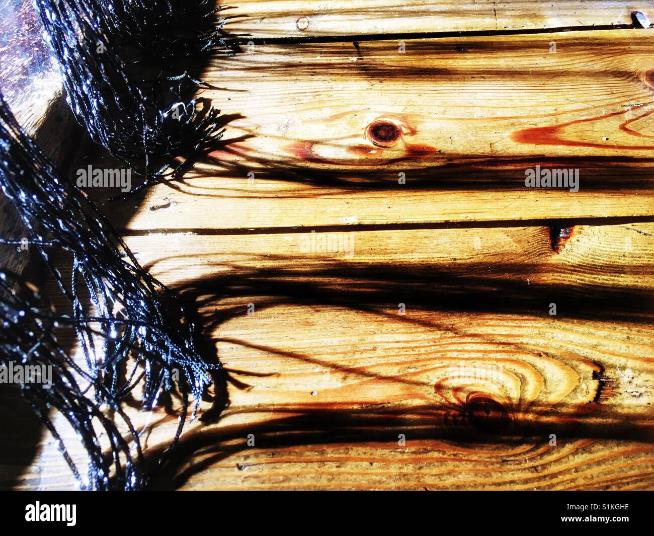 Planchers en bois Banque D'Images