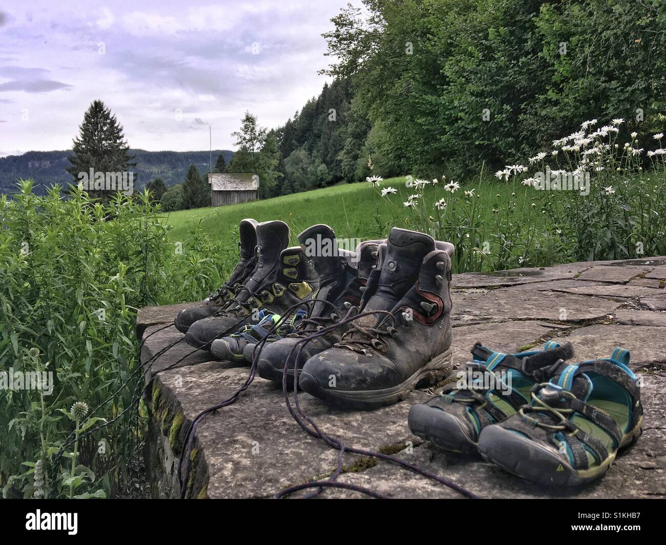 Des chaussures dans une rangée avec un pré à l'arrière-plan - Image de stock capturée avec un smartphone