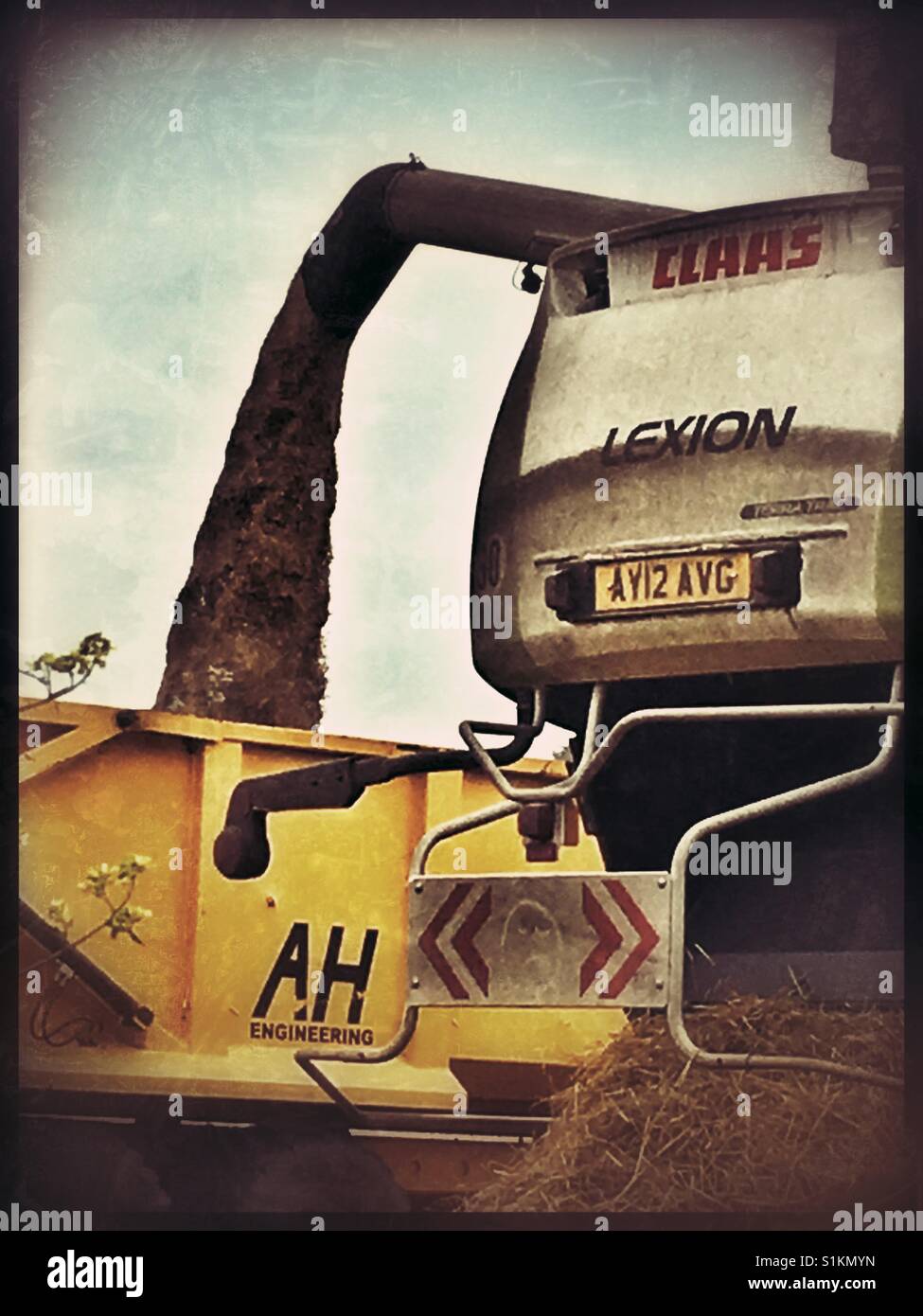 Rendmt Lexion Terra Trac Claas moissonneuse-batteuse, la récolte du blé. Banque D'Images