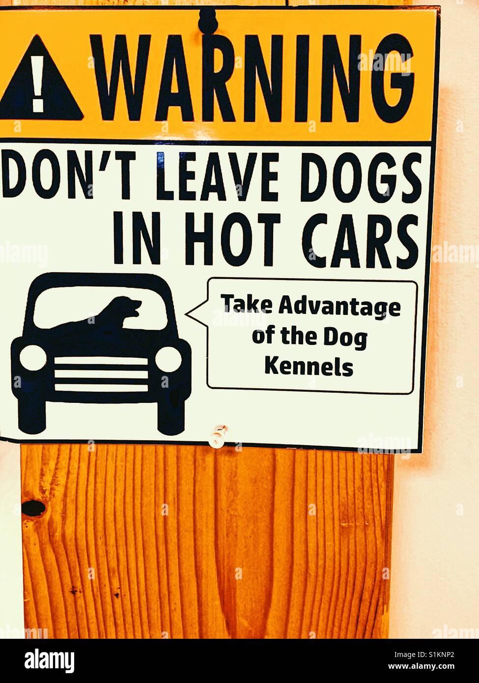 Panneau d'avertissement ne laissez pas les chiens dans les voitures à chaud - Image de stock capturée avec un smartphone