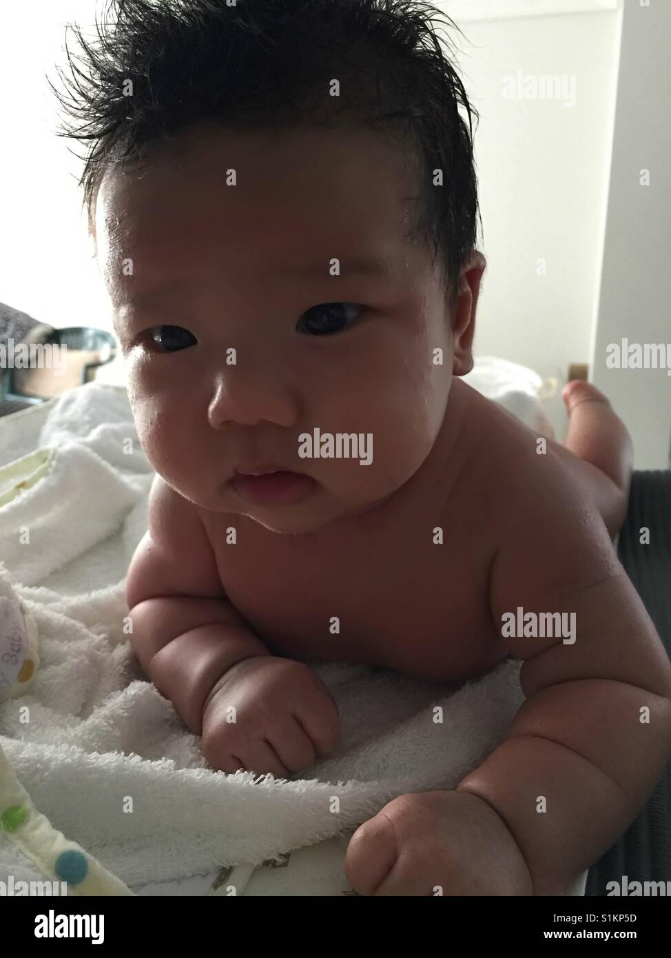 Bebe Michelin Meatball Photo Stock Alamy