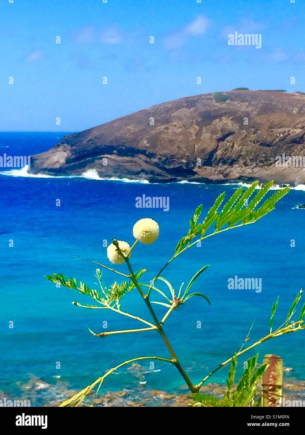 Hanauma Bay Nature Preserve, île d'Oahu, Hawaii Banque D'Images