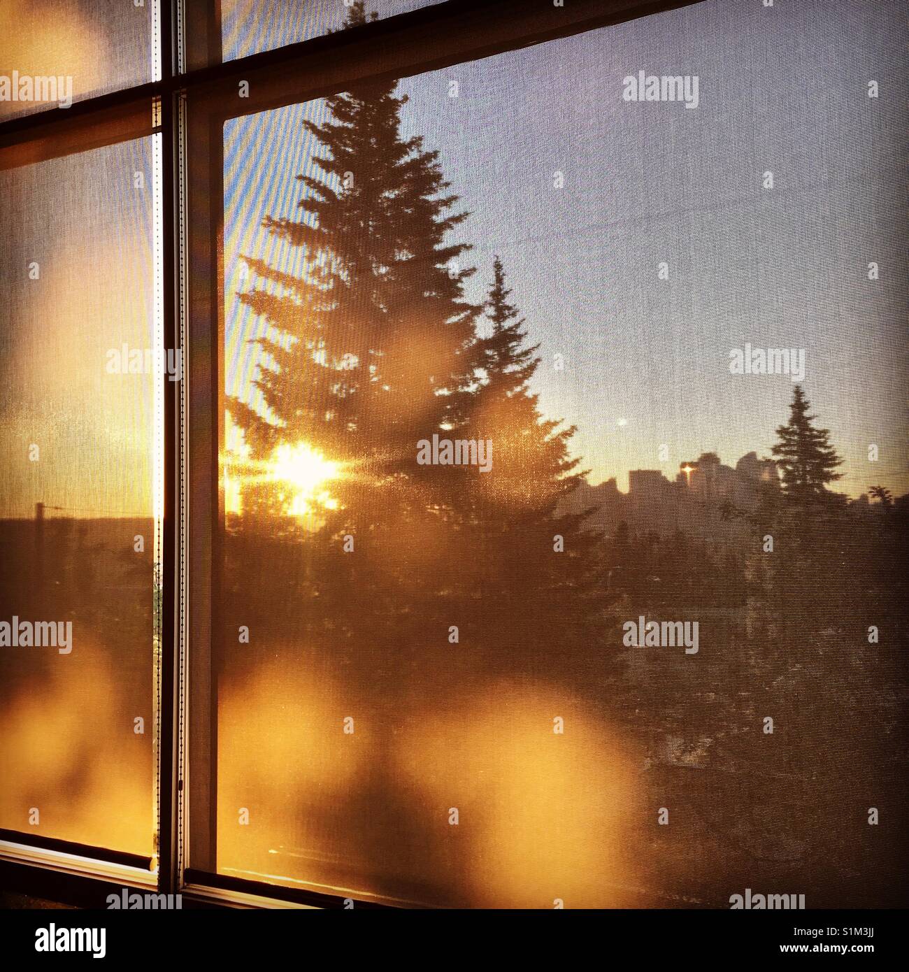 Lumière du matin à travers l'écran de la fenêtre Banque D'Images
