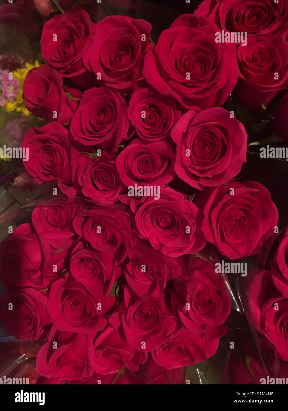 Bouquet de roses rouges - Image de stock capturée avec un smartphone