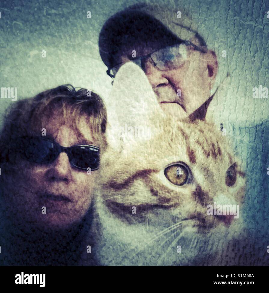 Un chat et sa famille. - Image de stock capturée avec un smartphone Un chat et sa famille. - Image de stock capturée avec un smartphone