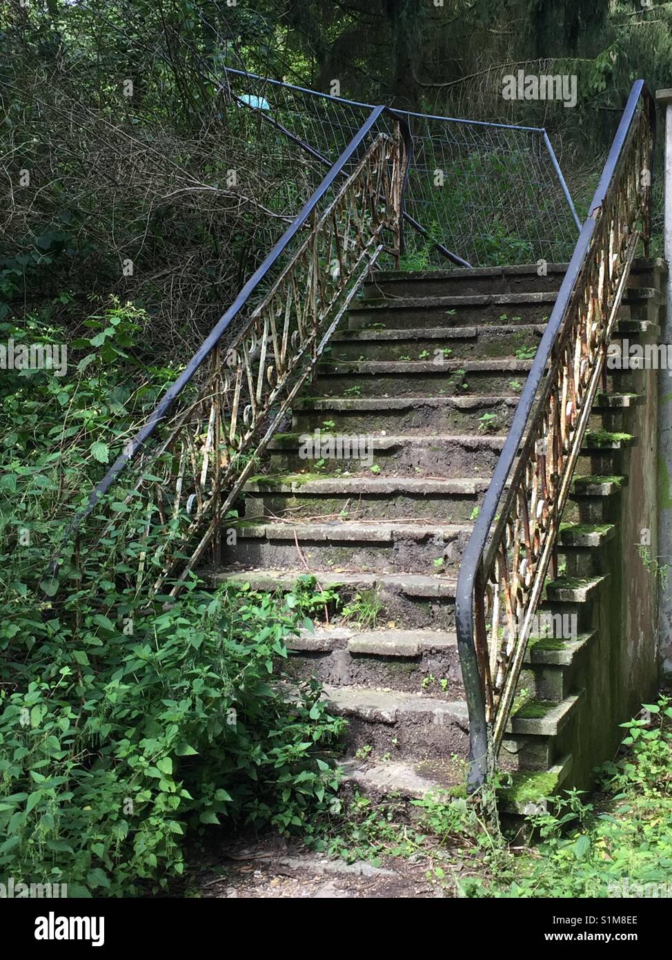 Envahi par la ruine des mesures avec la main courante. Abgebrochene Treppe mit Gelander. Banque D'Images