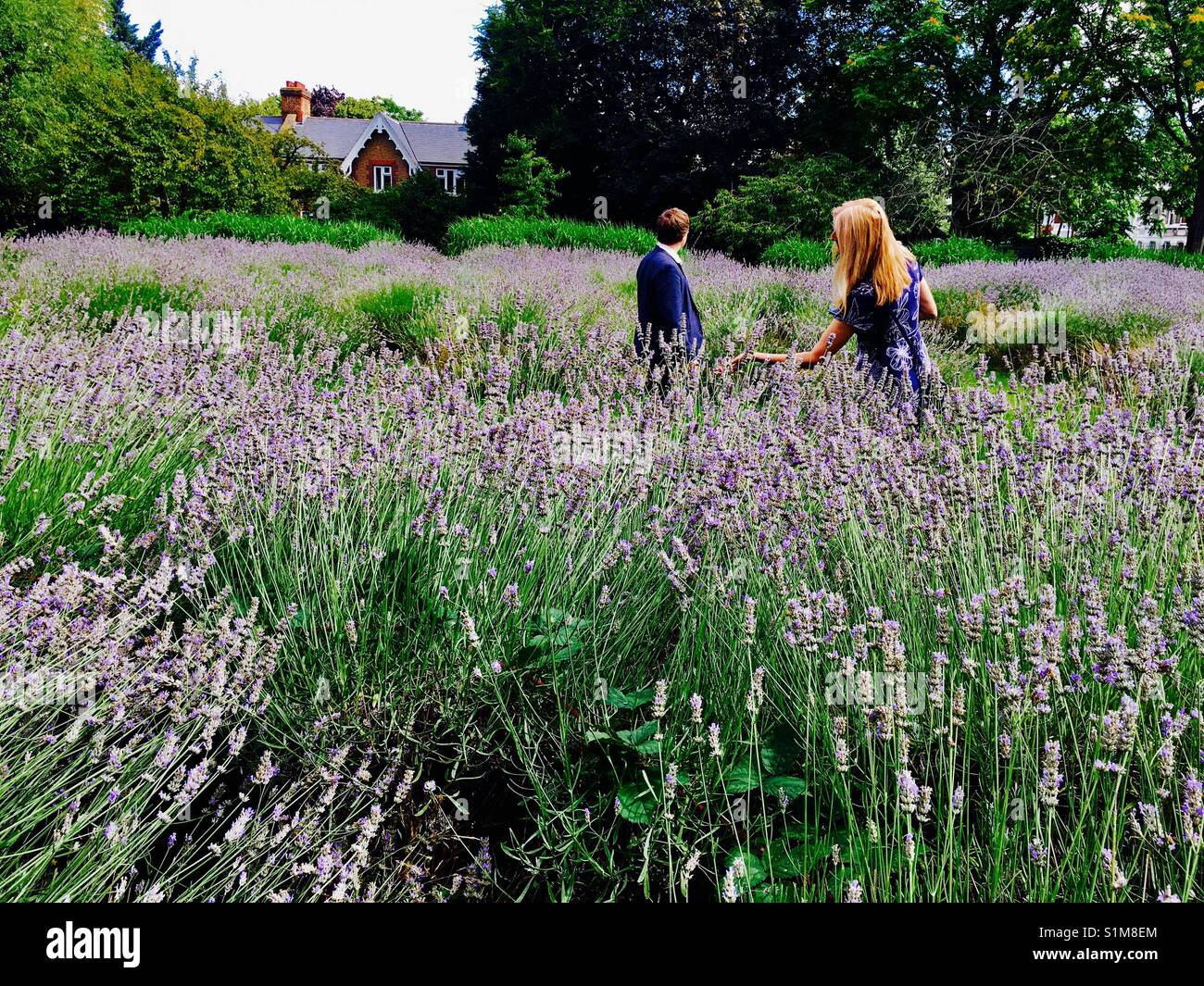 Pause déjeuner un moment de détente dans un domaine dans un parc de Vauxhall, dans le sud de Londres en Angleterre Banque D'Images