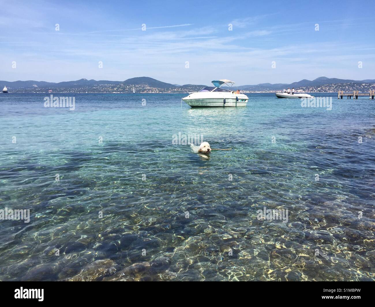 Bucht à Saint Tropez Côte D'Azur mit Meer und Himmel, weisser Hund schwimmt im türkisem Motorboot vor über Wasser im Hintergrund Riff mit Bergen Banque D'Images