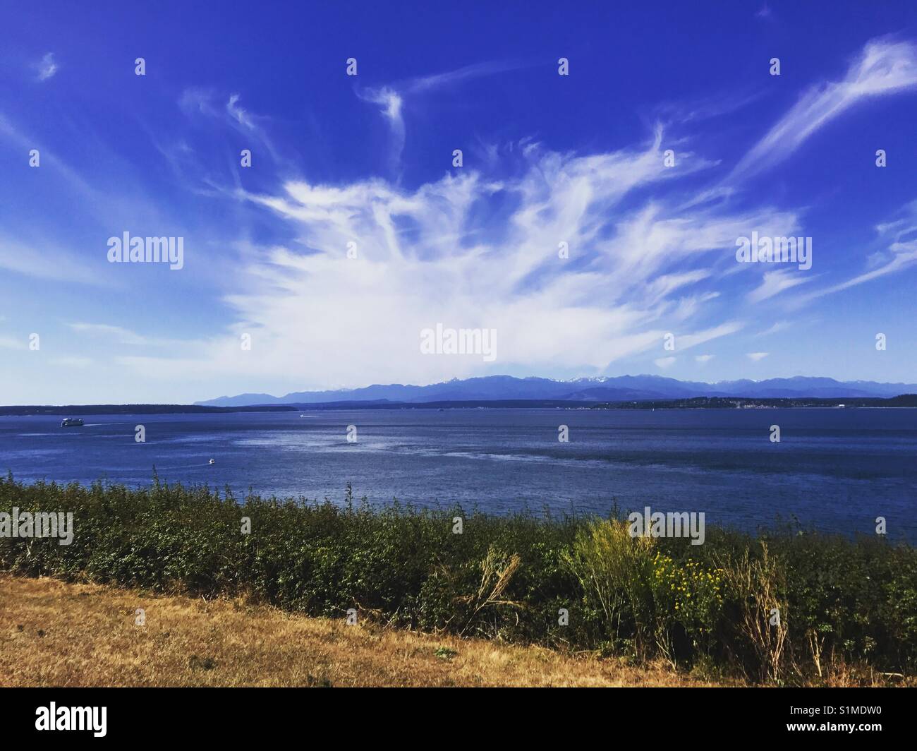 Parc national de Fort Casey, WA Banque D'Images