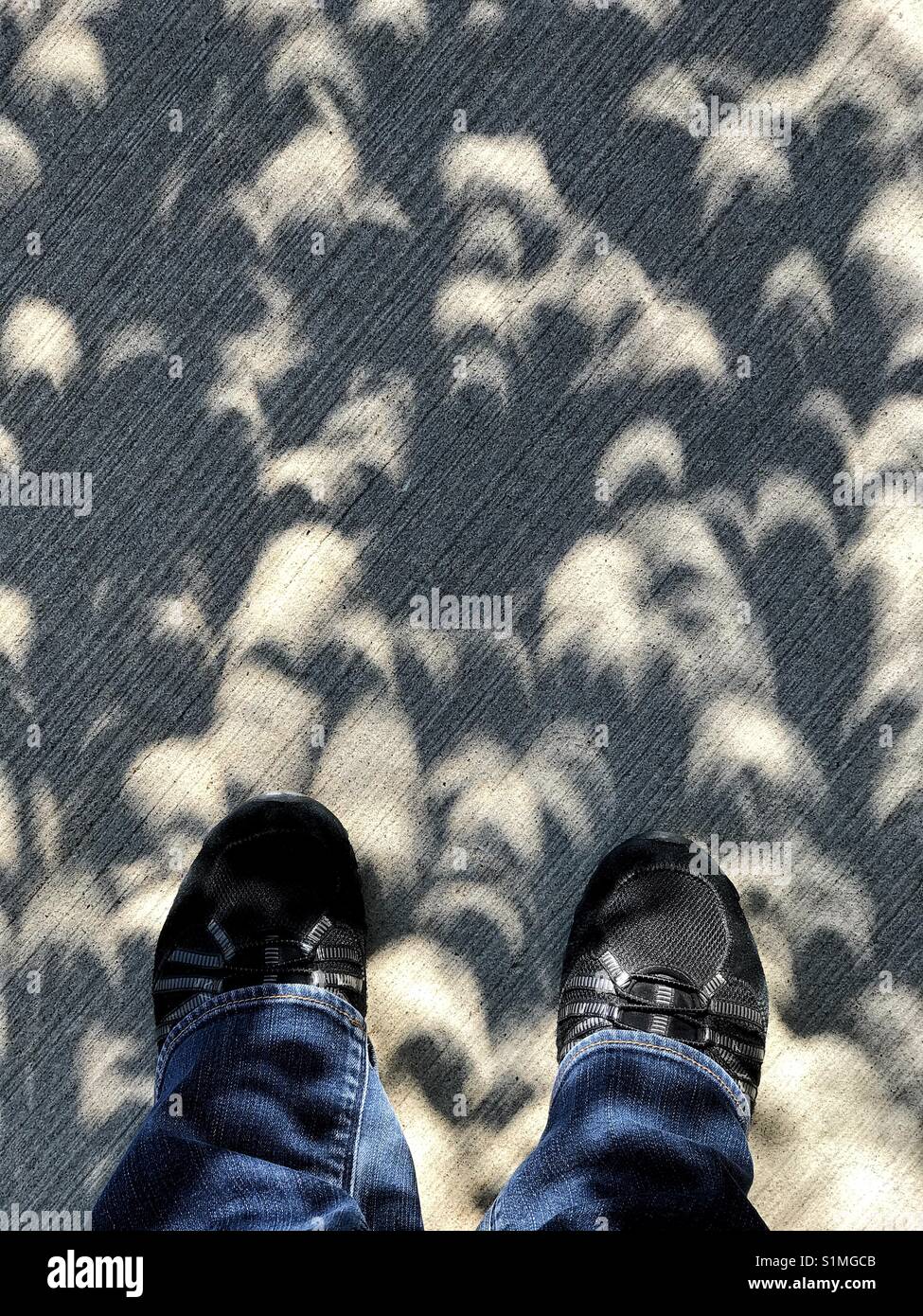 Personne debout dans l'ombre avec la lumière en forme de croissant des correctifs, pendant une éclipse solaire, à Calgary, Alberta, Canada. Banque D'Images