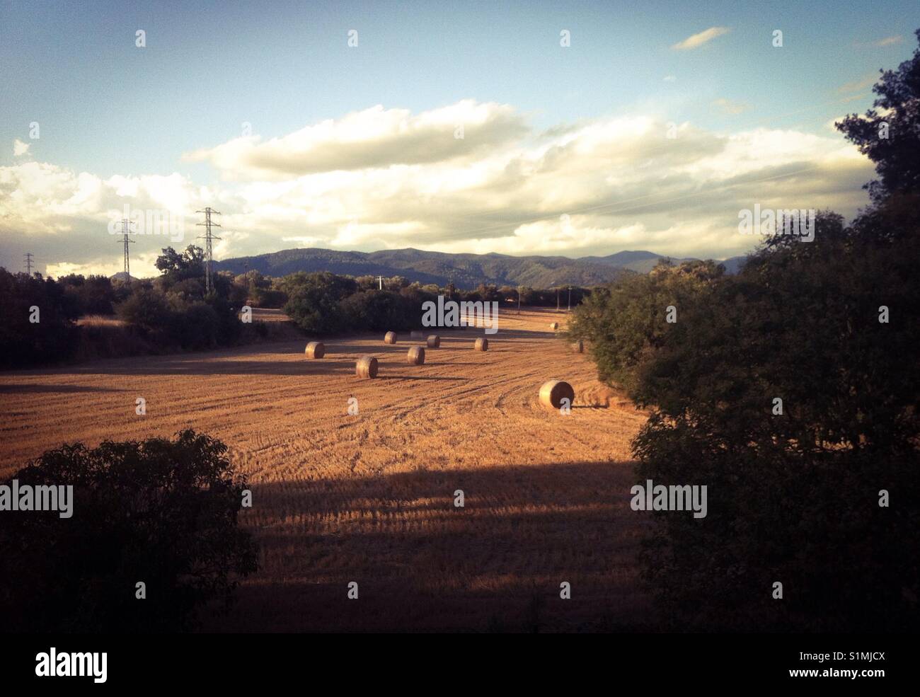 Scène rurale Llerona de l'ONU, Les Franqueses del Vallès, Catalogne, Espagne. Banque D'Images