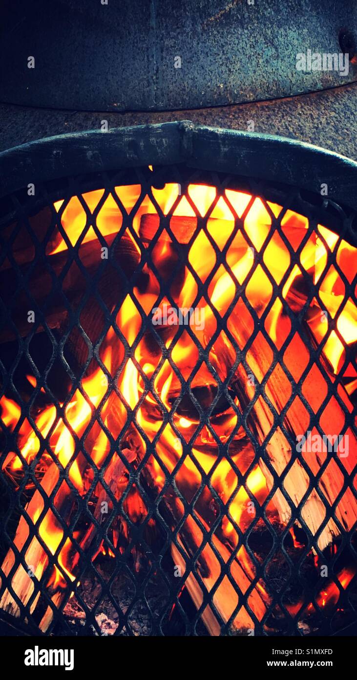 Vie de jardin Banque D'Images