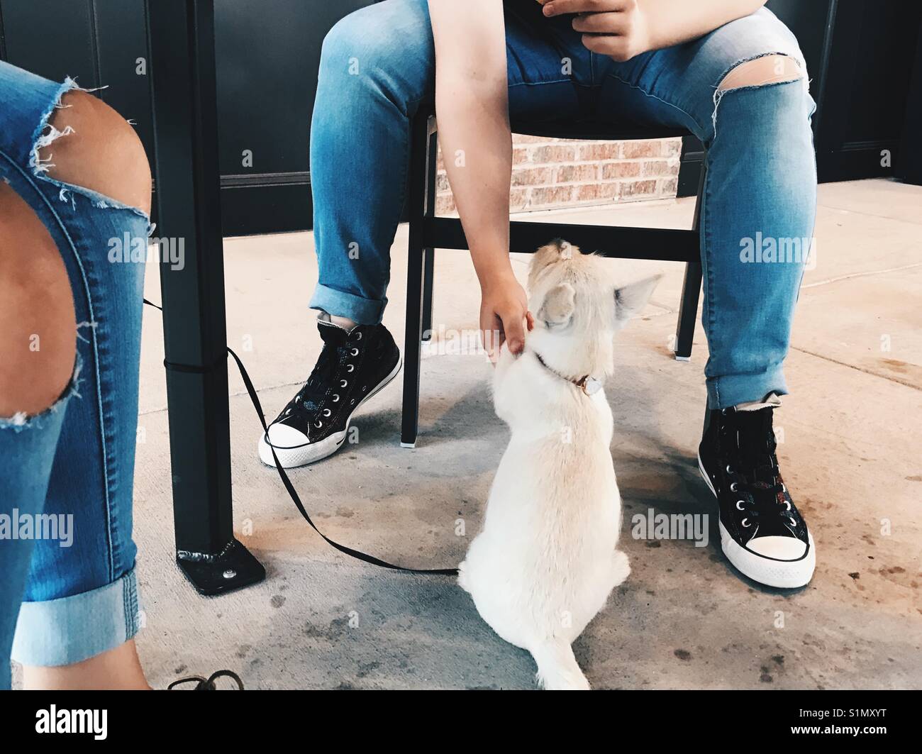 Seulement deux filles et un chien nommé pétunia. Banque D'Images