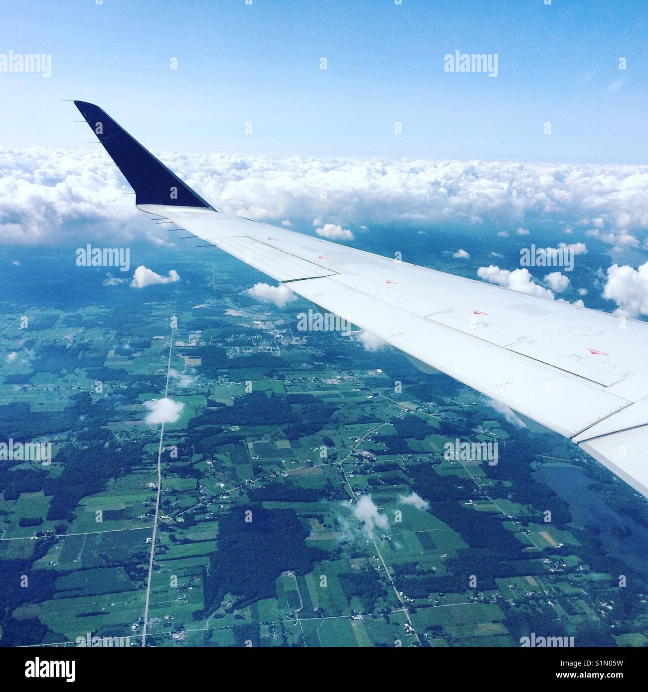Aile d'avion sur un paysage vert Banque D'Images