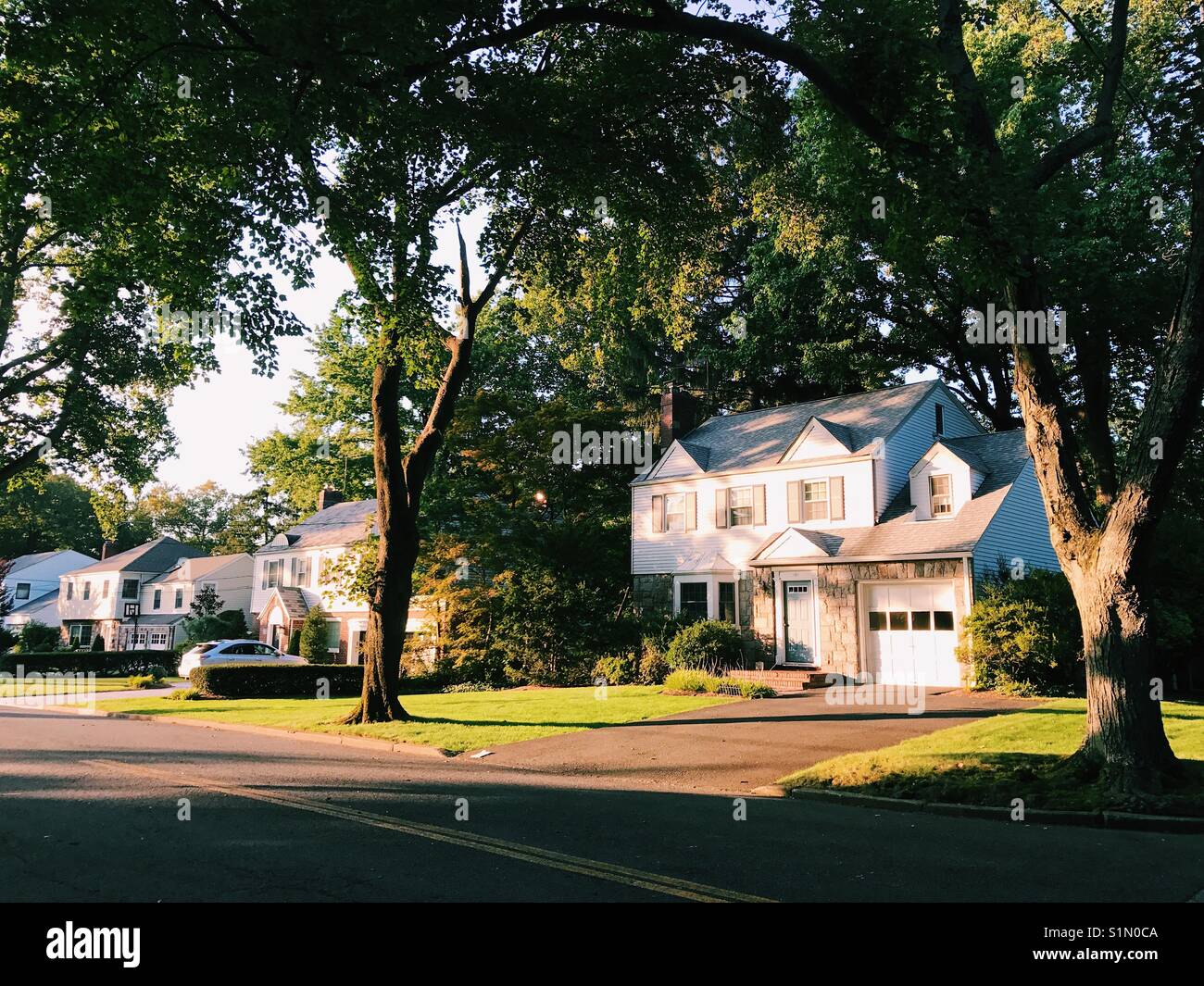 Une rue résidentielle dans la banlieue de New Jersey, USA. Banque D'Images