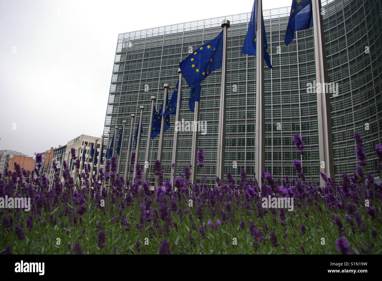 Drapeaux de l'Union européenne à Bruxelles Banque D'Images