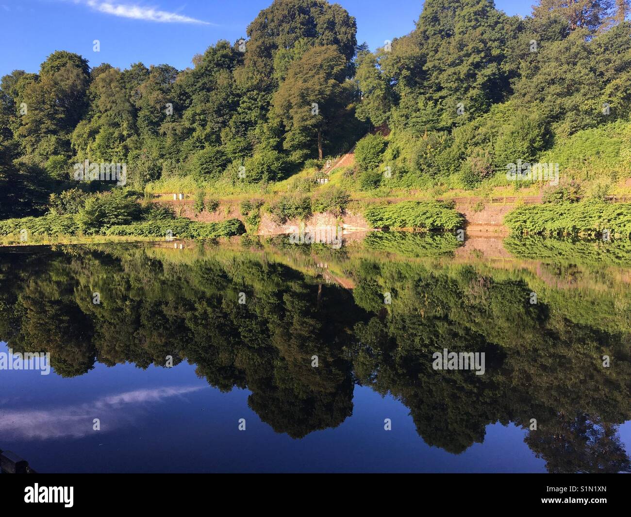 Vue panoramique avec arbres et arbustes reflète dans l'eau d'une rivière Banque D'Images