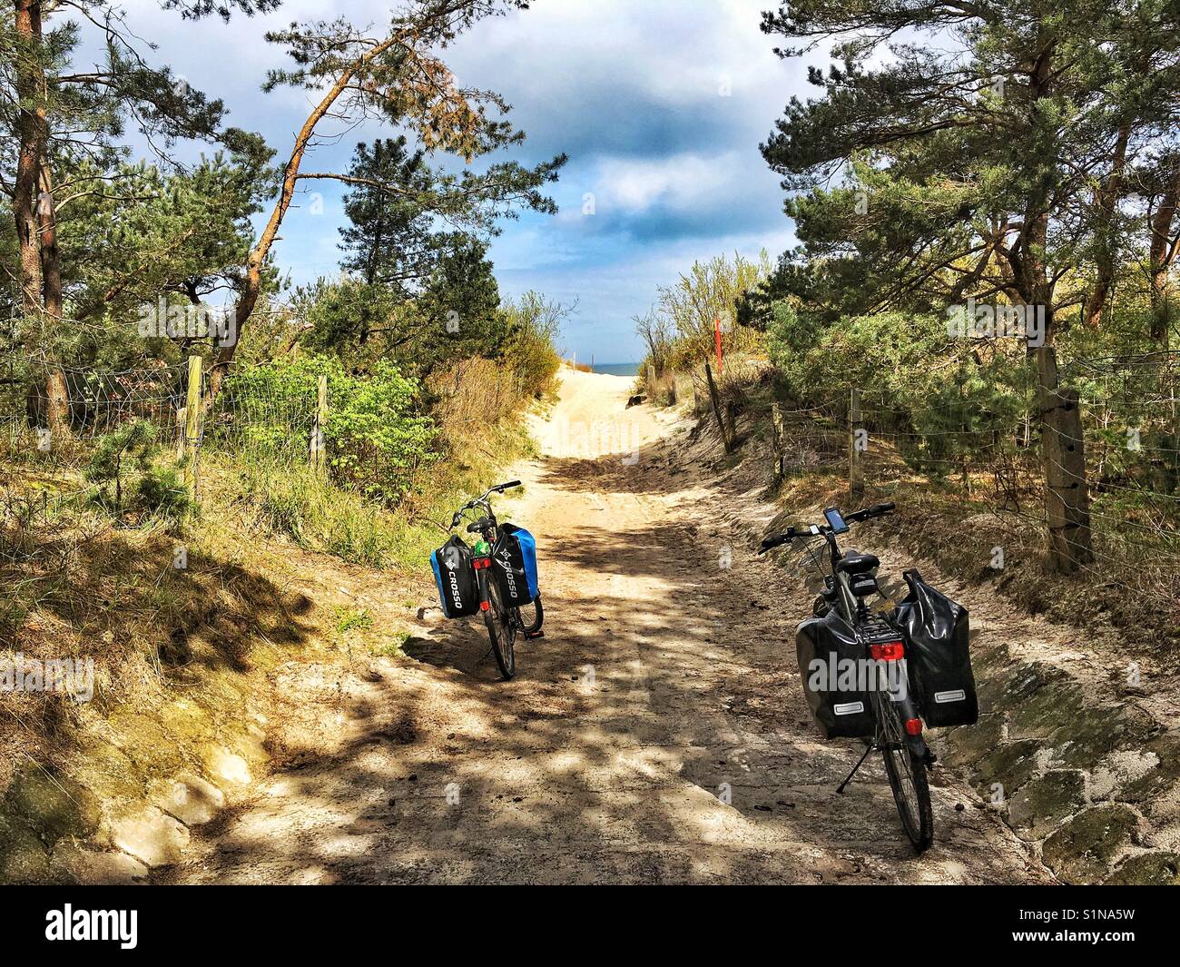 Vélos à côté de l'entrée à la plage près du village de Dziwnów, Pologne Banque D'Images