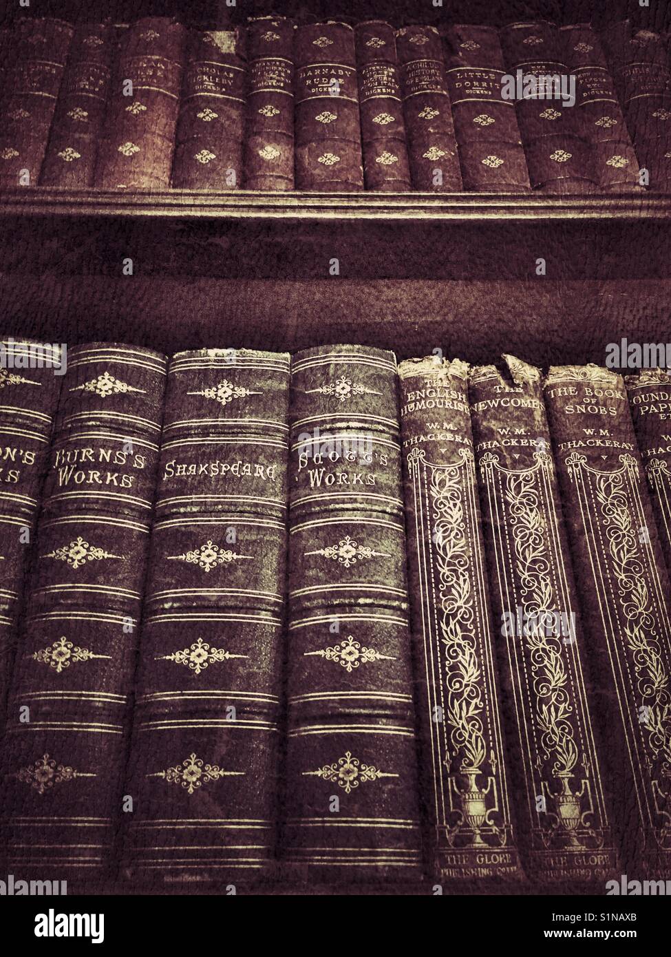 Livres anciens sur des étagères dans une bibliothèque, low angle view - Image de stock capturée avec un smartphone