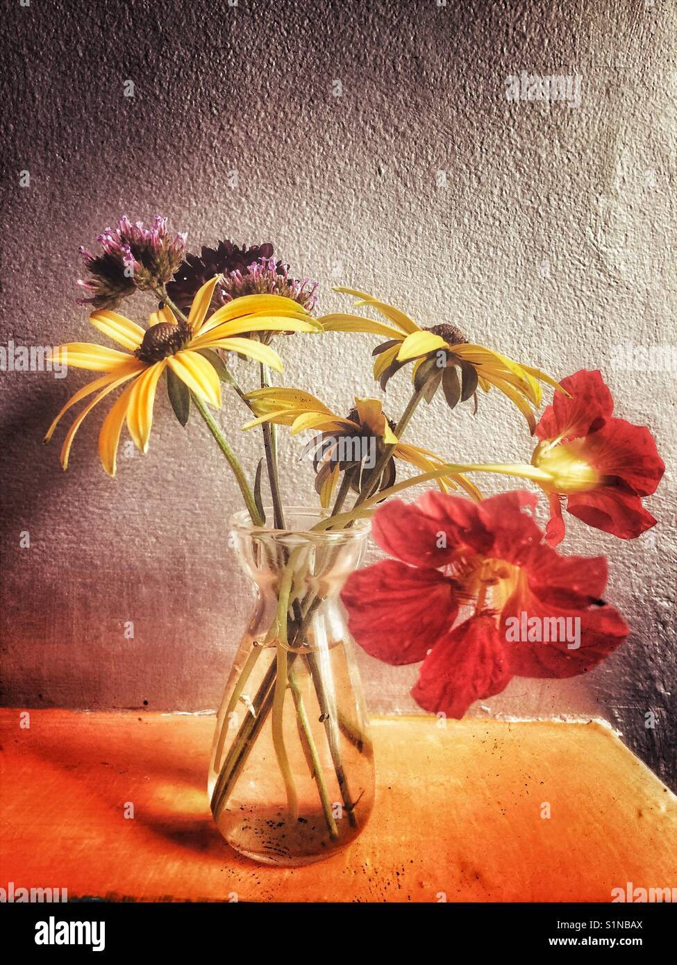 Fleurs du jardin dans un petit vase - Image de stock capturée avec un smartphone