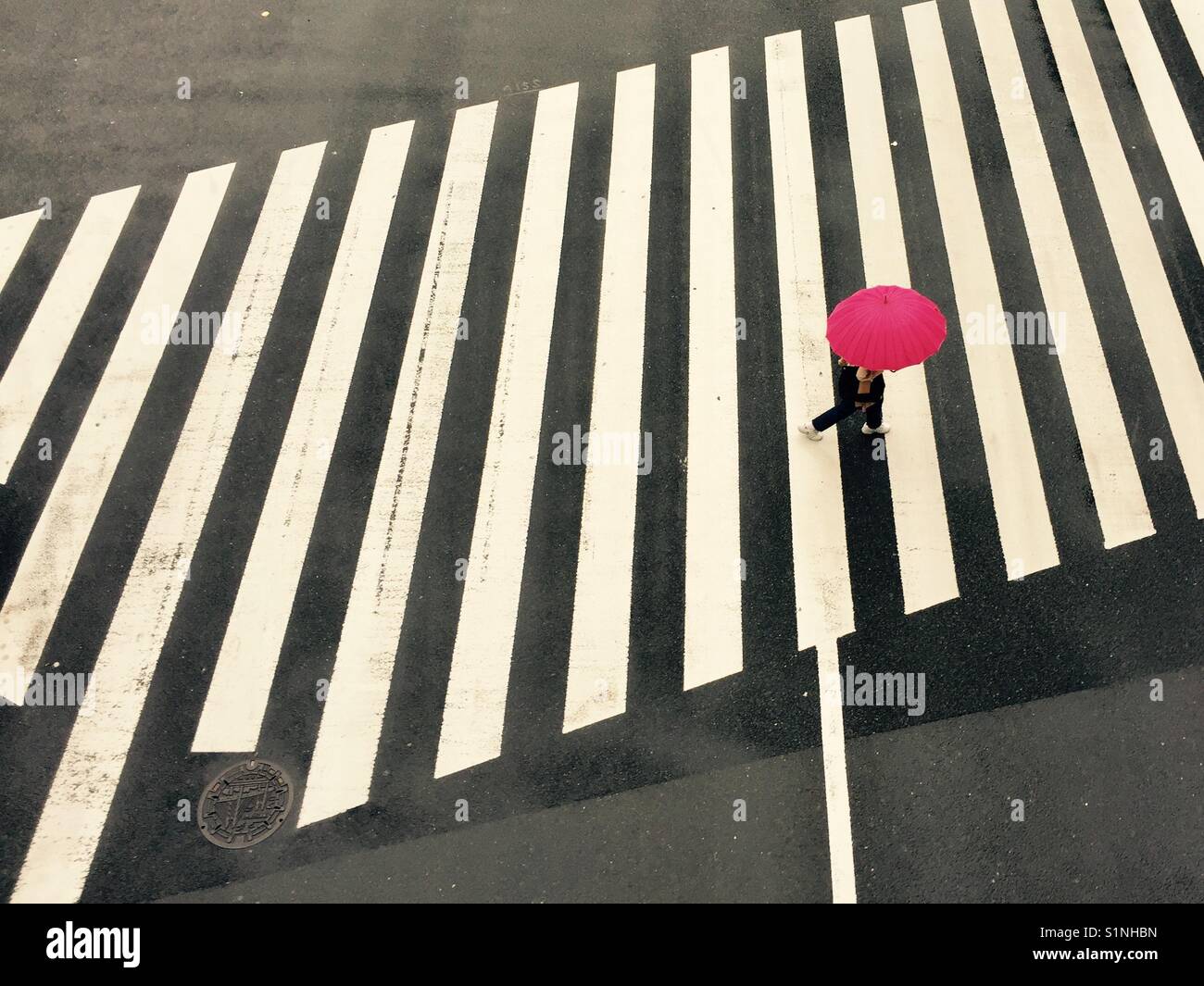 Traverser la rue avec un parapluie rose Banque D'Images