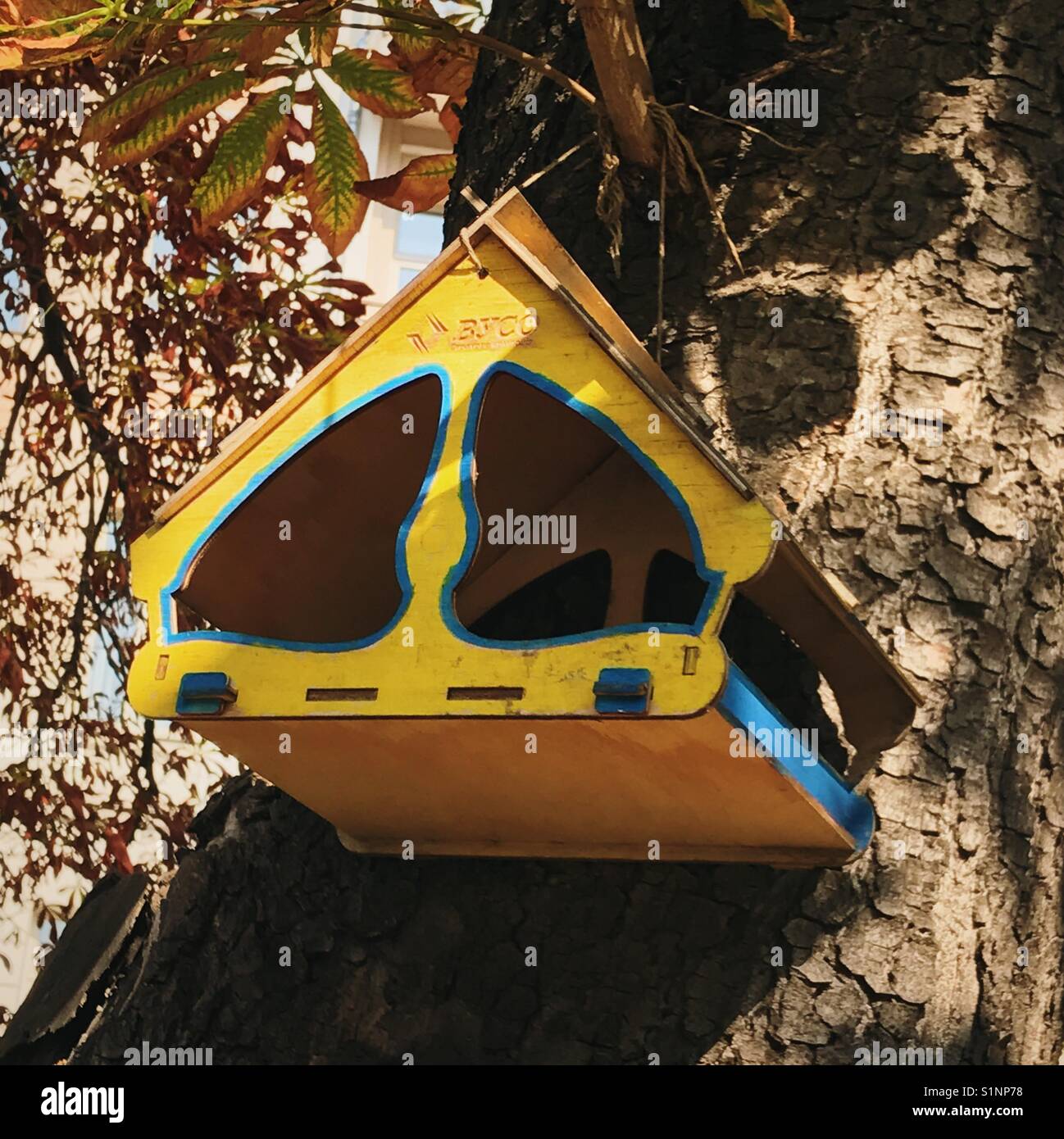 Une cabane sur un arbre coloré Banque D'Images