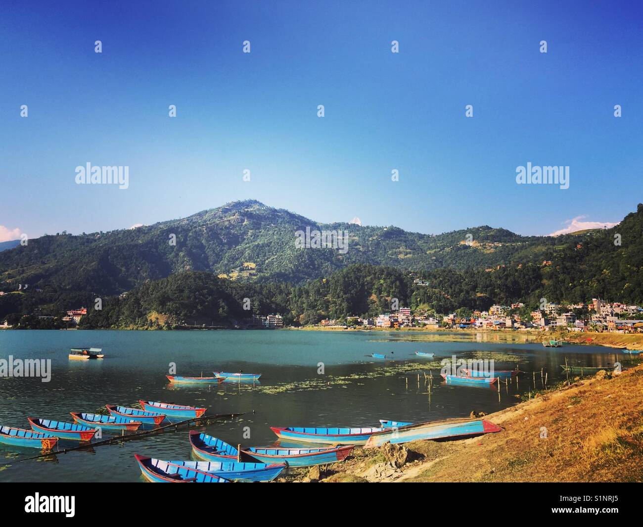 Lac Fewa, Pokhara, Népal Banque D'Images
