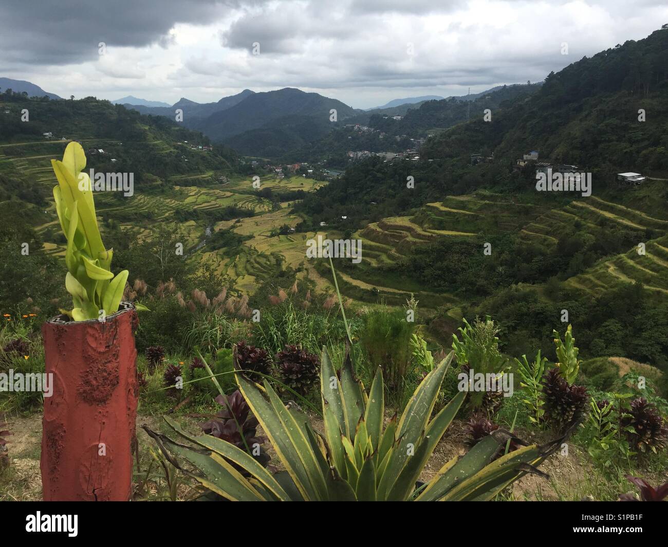 Banaue Rice Terraces Banque De Photographies Et D images Haute banaue-rice-terraces-banque-de-photographies-et-d-images-haute